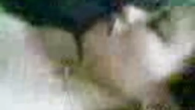 Hot porno ingen registrering  Samling af lækre pigesex film kager